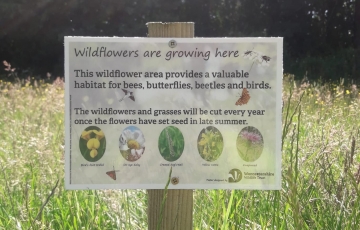wildflower notices
